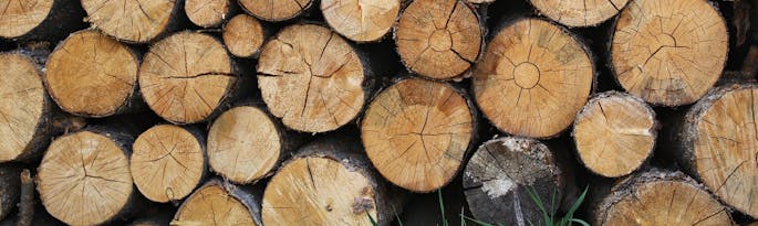 Logging with Horses