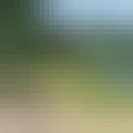 Picturesque Views of the River Wye a short walk from  River Wye Lodge freinds and family holiday accoomodation Nr. Forest of Dean Gloucestershire www.bhhl.co.uk Picturesque Views of the River Wye a short walk from  River Wye Lodge freinds and family holiday accoomodation Nr. Forest of Dean Gloucestershire www.bhhl.co.uk