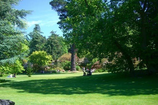 Manicured lawns at Bodnant Gardens, Conwy