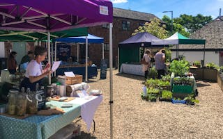 'Holiday in Somerset Close to Farmers' Markets' - Holiday Ideas