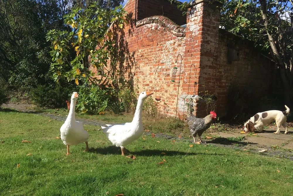 The gardens at Grove Buttery