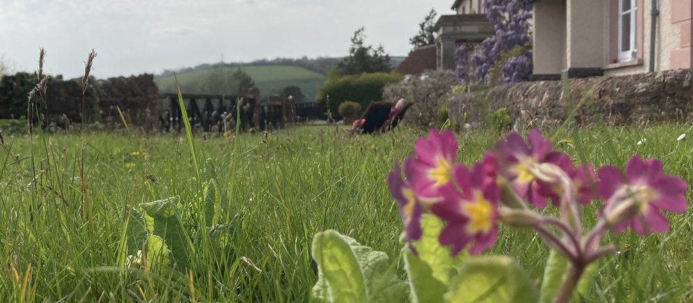 Sitting on a deckchair outside Hurstone House, primroses and wildflowers in the foreground .