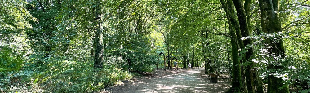 Fabulous flat walk through trees to the Monument