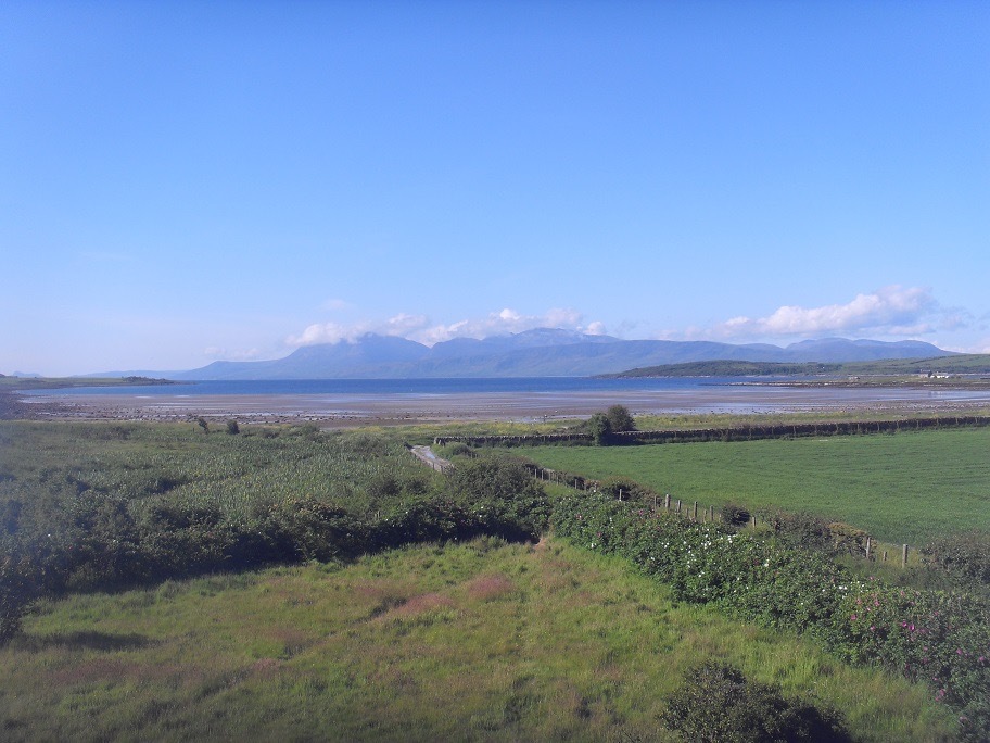 Lawn before being cut