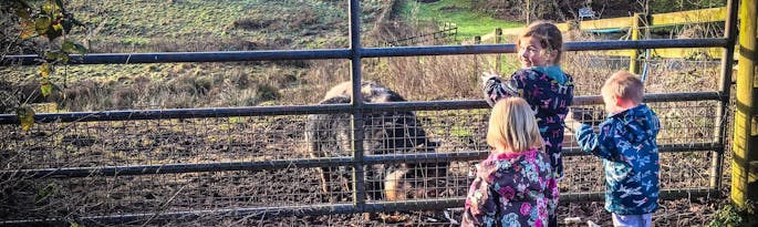 "A typical family farm?"
