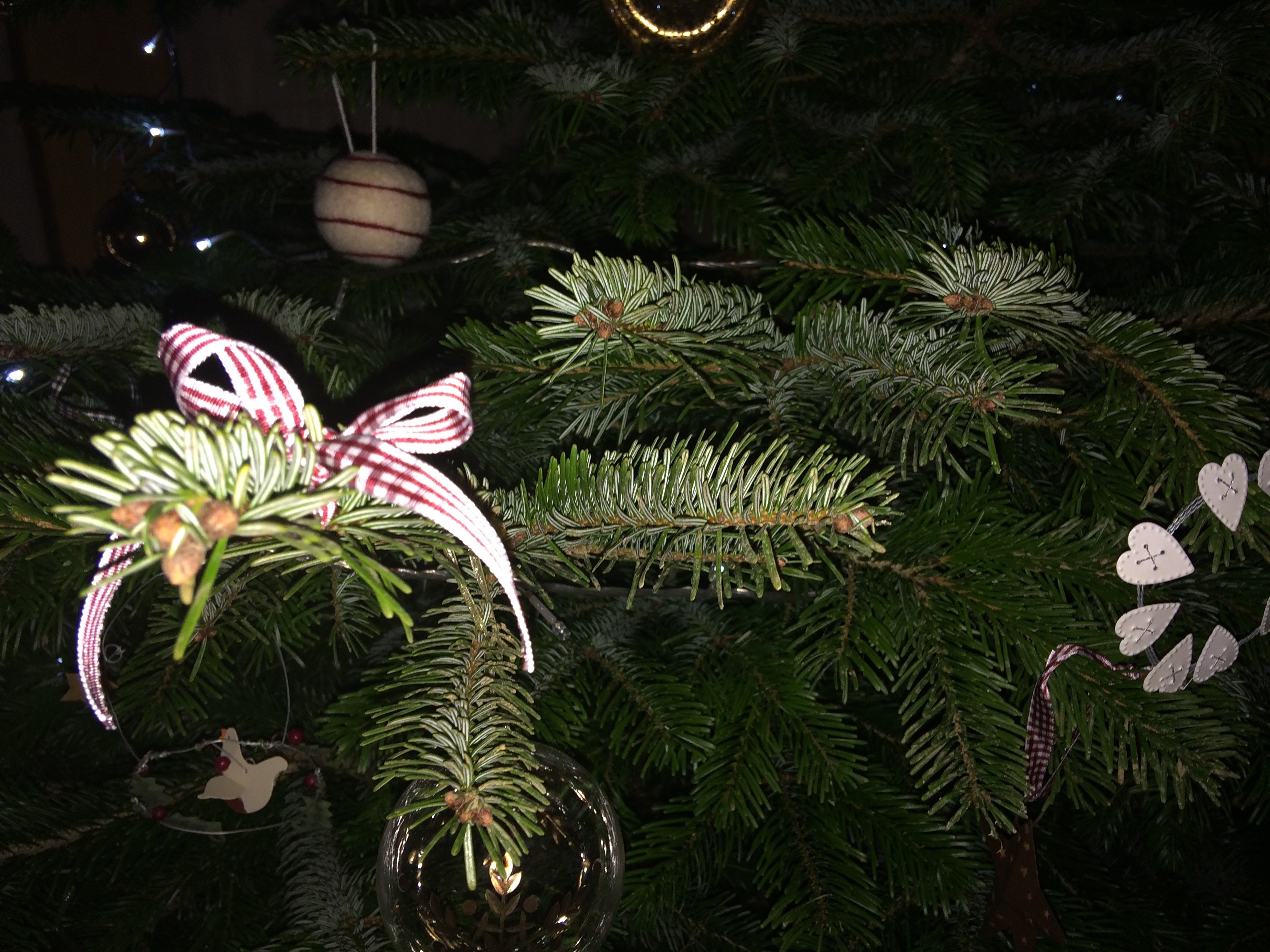 Groups of Cottages To Rent In The UK 