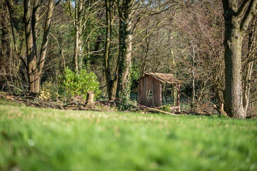 Woodland below The Horse House