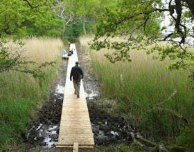 Bouldnor Forest