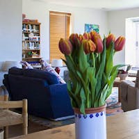 Open Plan Living Room/ Dining/Kitchen Open Plan Living Room/ Dining/Kitchen