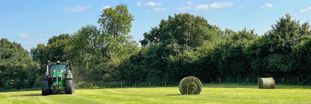 Round silage bales for the cattle to enjoy throughout the winter