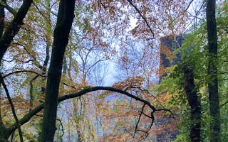 'Walking Holidays in Somerset For Large Groups' - Holiday Ideas