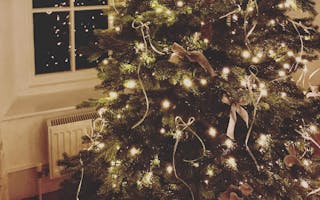 'Holiday Cottages In Devon For Christmas' - Holiday Ideas