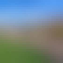 The Grace House: Holiday house on the edge of Exmoor National Park, sleeps 24 The Grace House: Holiday house on the edge of Exmoor National Park, sleeps 24