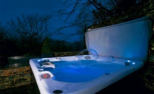 Menagerie House - Soak beneath the stars in the hot tub; peace and quiet, owls hooting