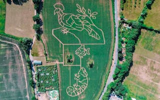 'Lose Yourself (Literally) at Elton Giant Mazes – A Proper Day Out from Your Big House Holiday Let' - Holiday Ideas