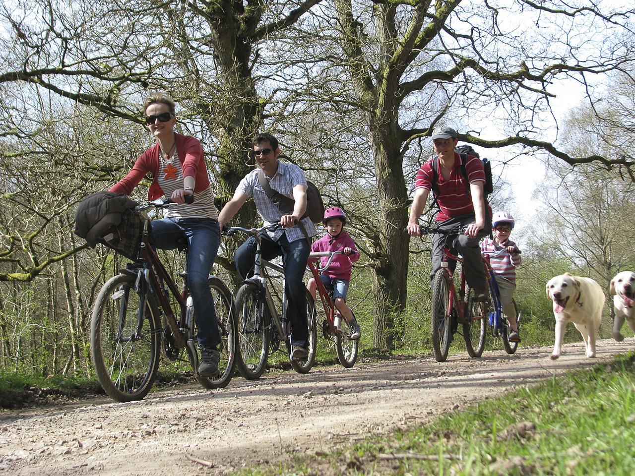 'Tired of Overcrowded Hotels and Packed Resorts? Discover the Peace of the Wye Valley, Forest of Dean & Herefordshire' - Holiday Ideas