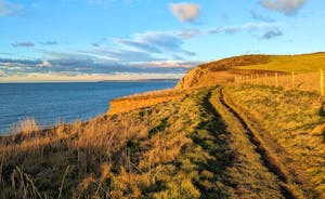 The South West Coast Path (between Greencliff and Abbotsham Cliffs)