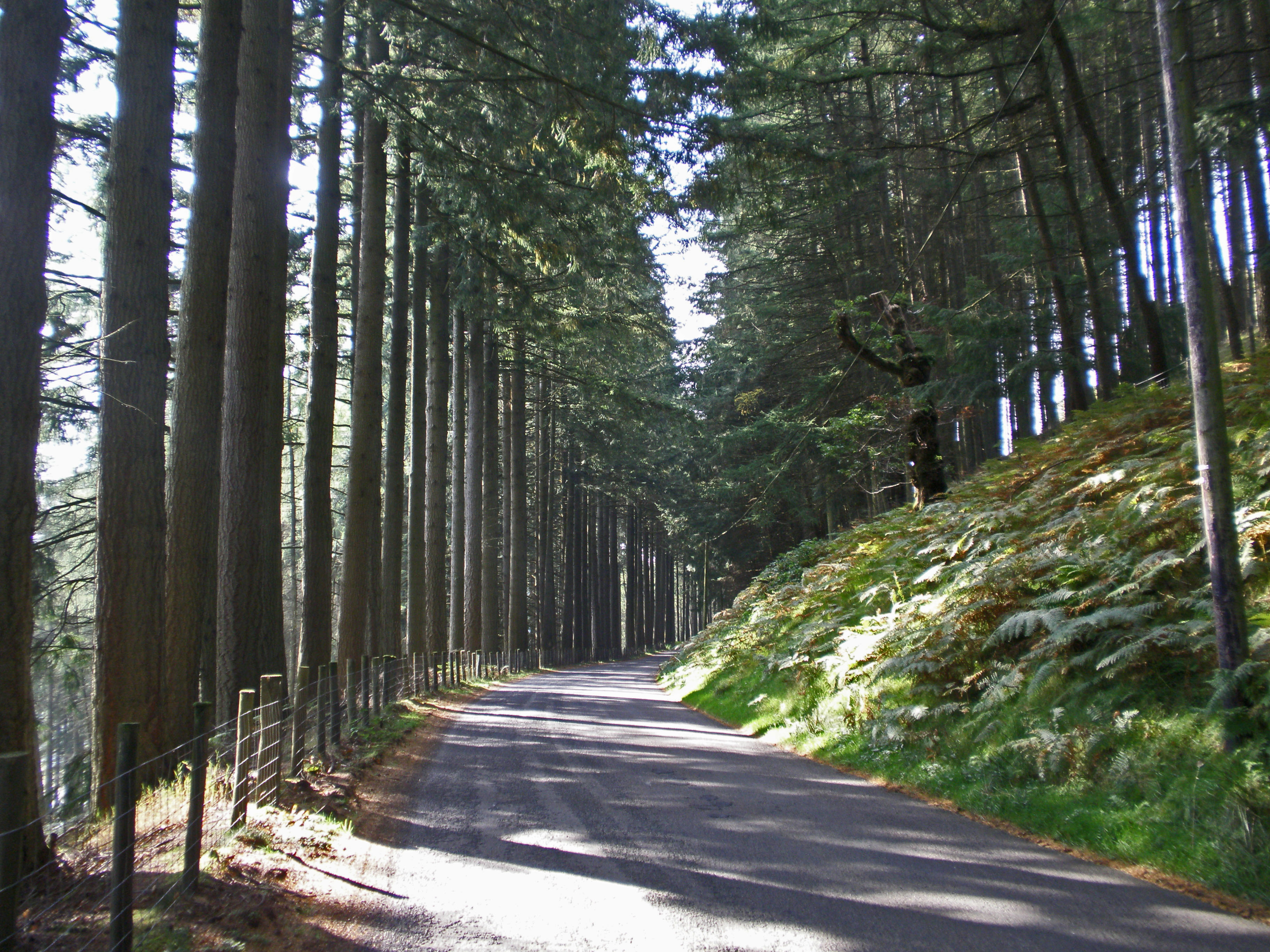 'Stargazing holidays in the Elan Valley, Mid Wales' - Holiday Ideas