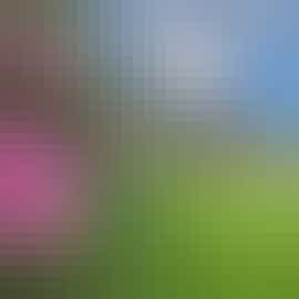 Overbrooks - The annexe has a lovely setting in the garden Overbrooks - The annexe has a lovely setting in the garden