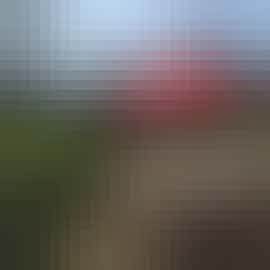 Sticky End Cottage: Courtyard  Cottage Garden Sticky End Cottage: Courtyard  Cottage Garden