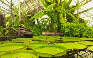 'Cycling and walking the South Coast route from your holiday cottage' - Holiday Ideas