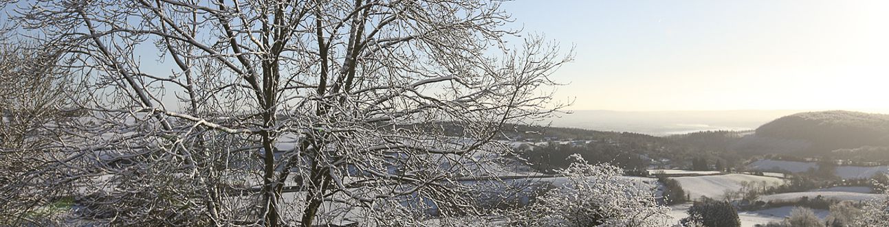 A wintery, snowy scene with a tree in the foreground and the field of the Wye Valley behind it
