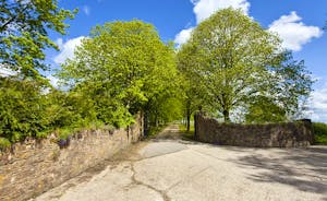 Holemoor Stables: Turn off the lane onto a private drive - and on to Holemoor Stables