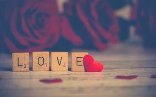 'Romantic Holiday Cottage in Cullompton' - Holiday Ideas