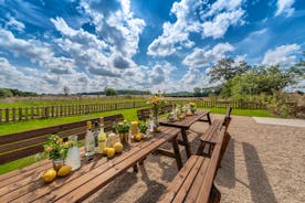 Tickety-Boo - Outdoor seating with views over the fields