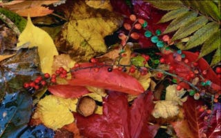 'Autumn Break' - Holiday Ideas