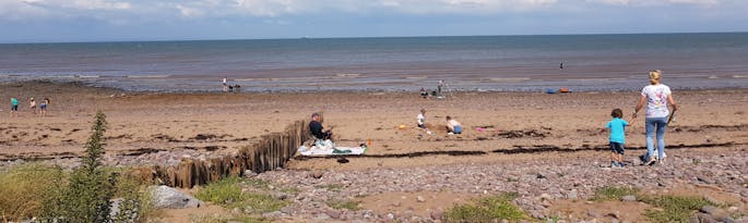 Dunster Beach dog walks