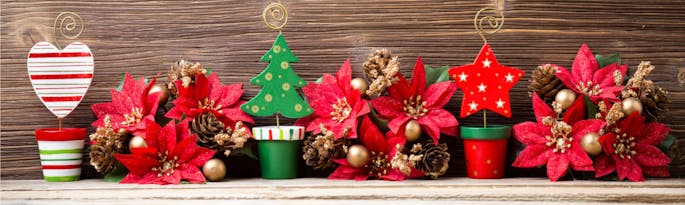 Deck the Halls with Boughs of Holly – Happy Christmas from Sleeps12