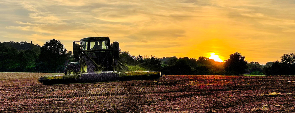 Drilling stable turnips as the sun goes down