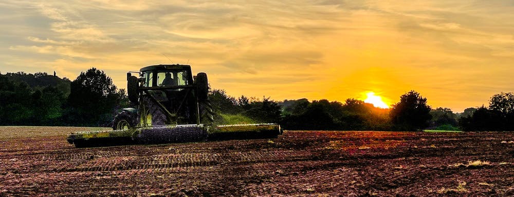 Drilling stable turnips as the sun goes down