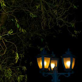 Christmas  Christmas