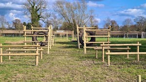 Assault Course  x 10 obstacles  