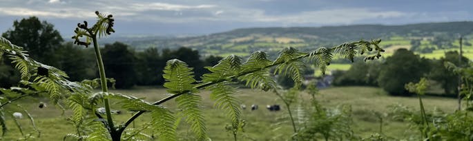 Winter Cottage Breaks In Devon