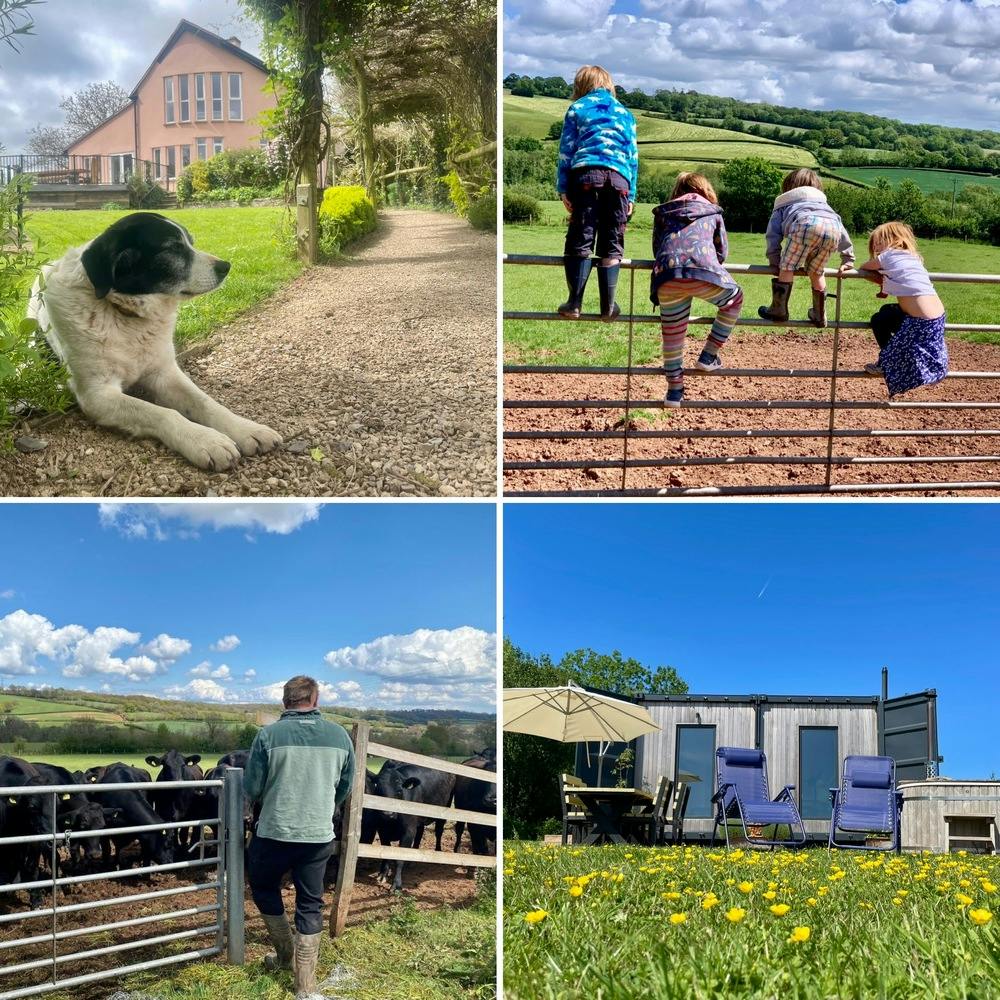 The Cottage Beyond is the perfect countryside playground for children
