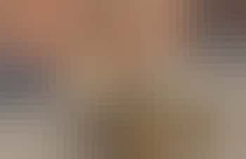 An image of 'Bumblebee Barn', Derbyshire