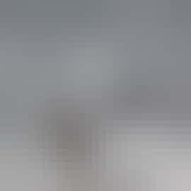 stalking available or great for photographing stalking available or great for photographing