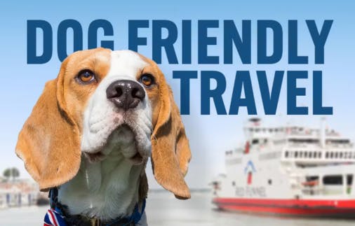 Dog friendly travel to IOW
