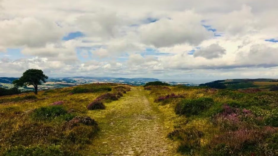 Beautiful countryside views