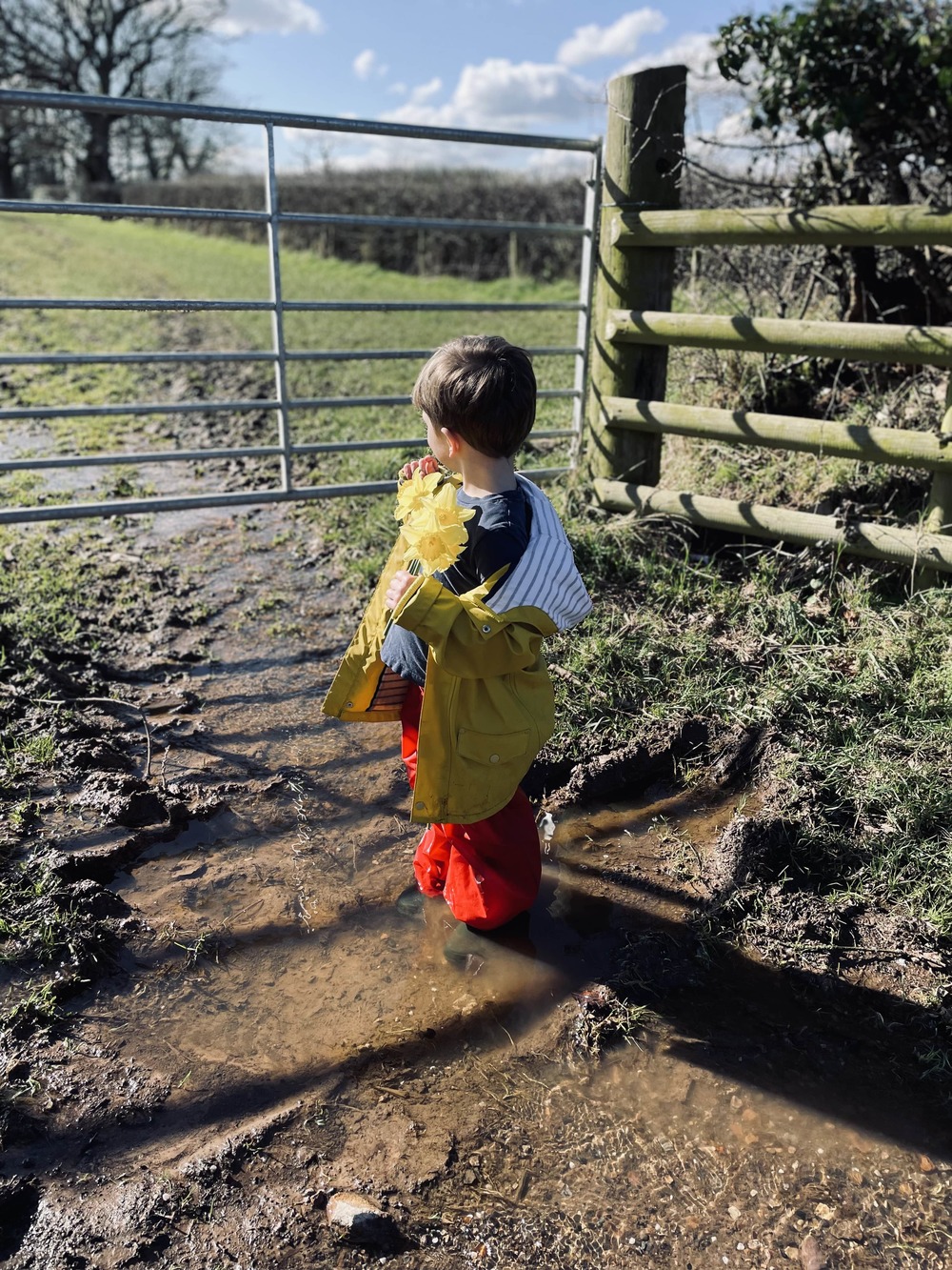 Muddy puddles at Stonehayes Farm