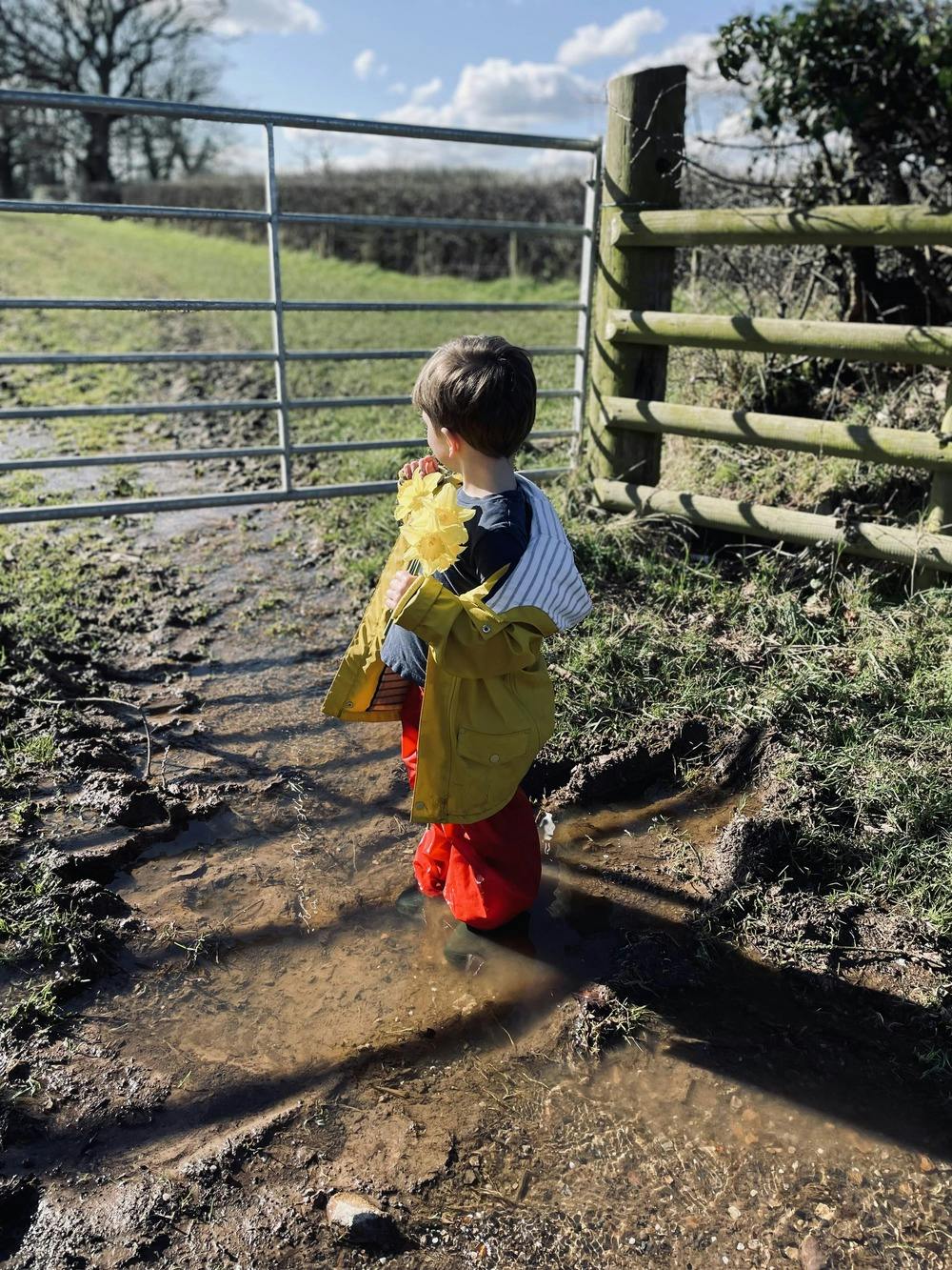 Muddy puddles at Stonehayes Farm