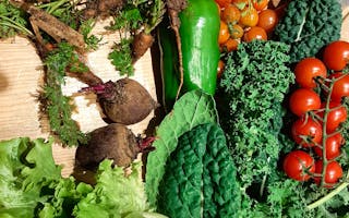 'Riverford Farm Field Kitchen ' - Holiday Ideas