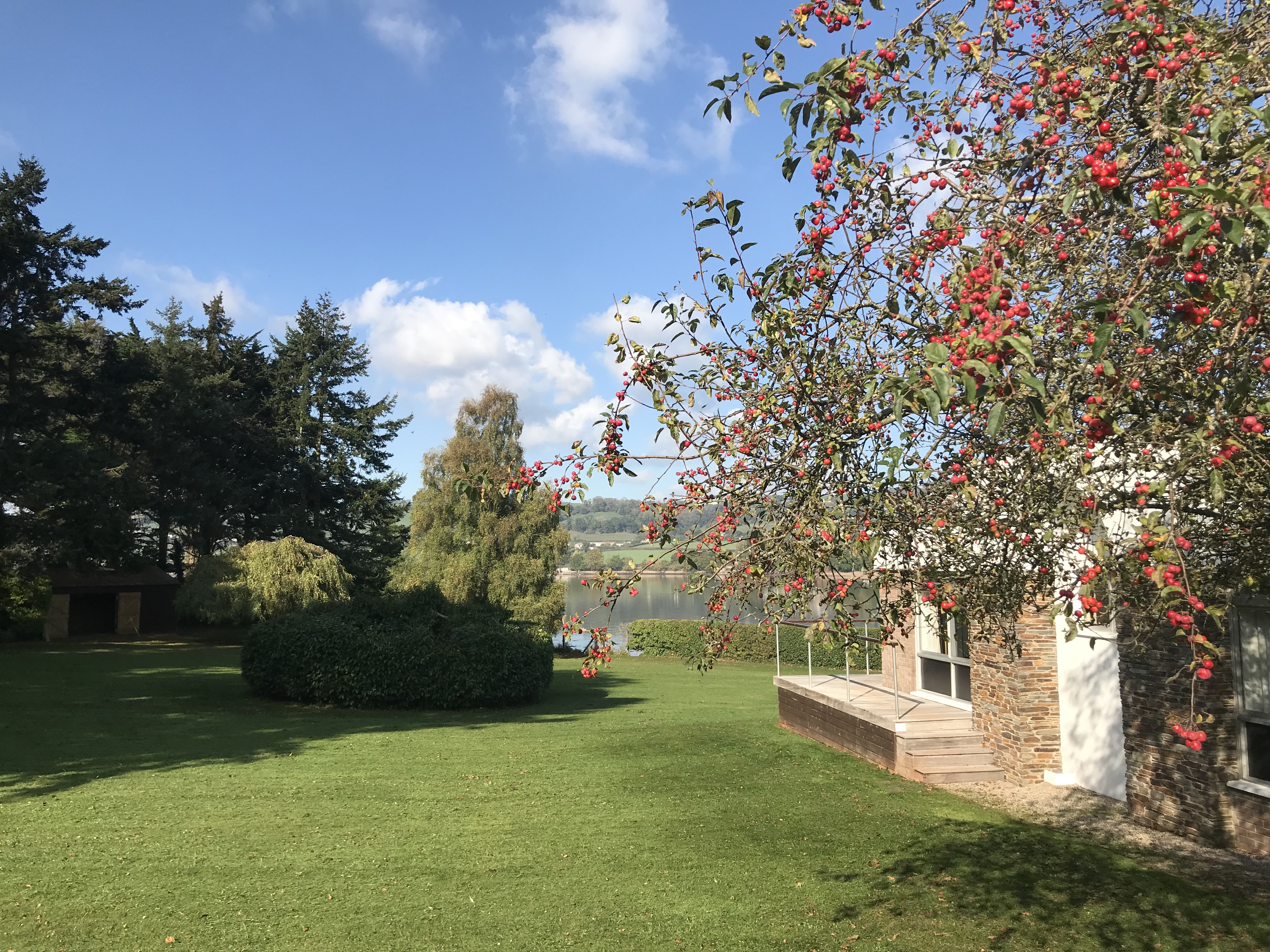 Autumn at Clare Park