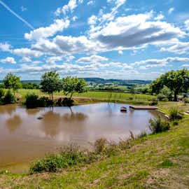 Copper Beech - Set in an unspoilt landscape with far reaching views Copper Beech - Set in an unspoilt landscape with far reaching views