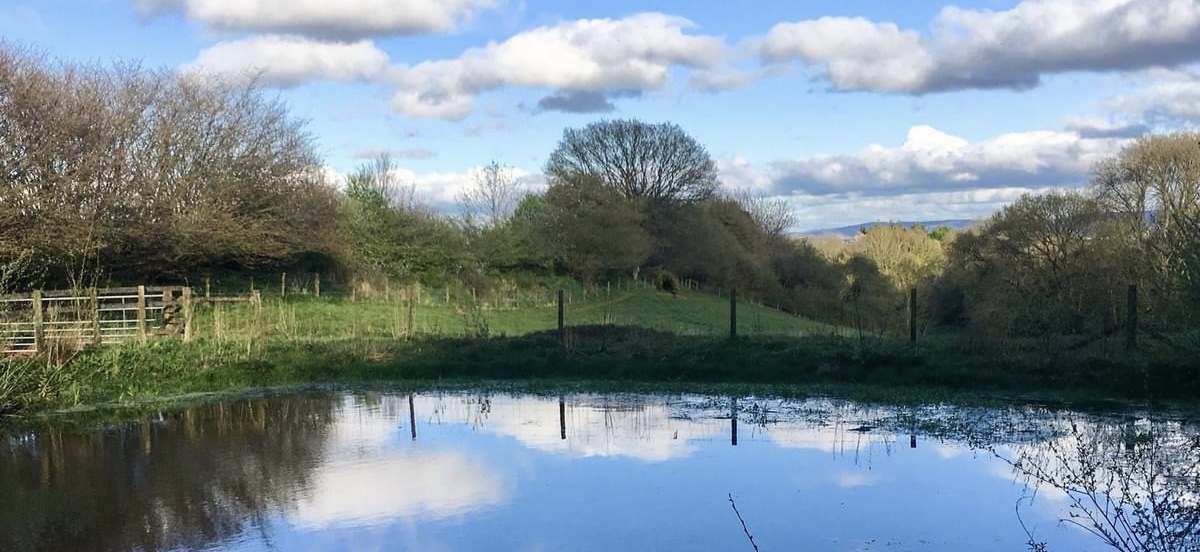 5 Things Guests Love Most About Staying at The Cottage Beyond