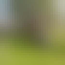 Millgrove House: Perfect for big family holidays Millgrove House: Perfect for big family holidays