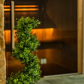 The sauna is the perfect place to relax after a fun-packed day. The sauna is the perfect place to relax after a fun-packed day.